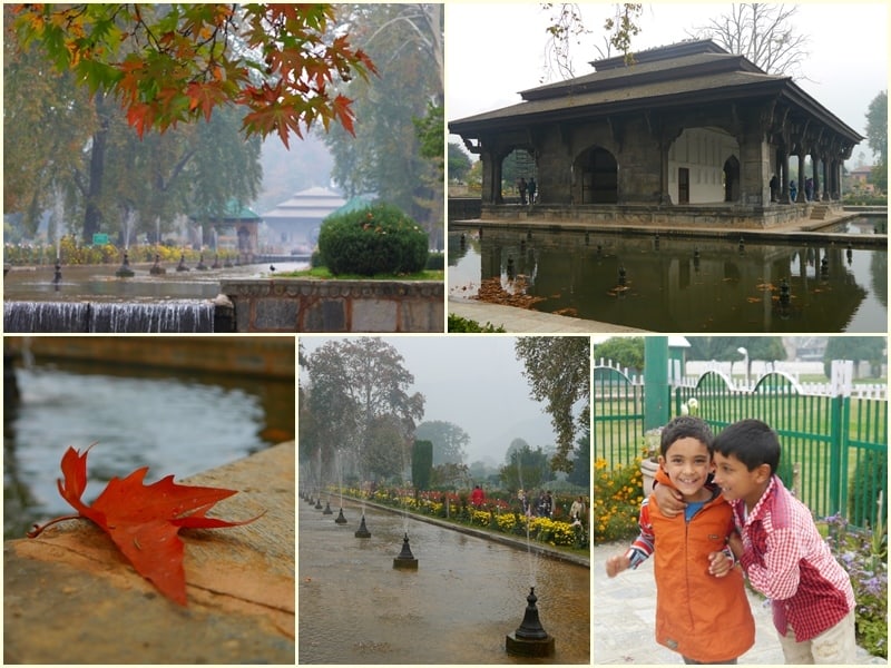 【印度-喀什米爾 Kashmir 】Day5-1 斯里納加，走走停停。清真寺與蒙兀爾花園的相遇。(Shalimar Bagh、Nishat Bagh)