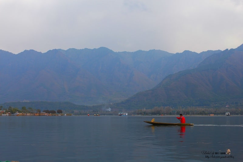 【印度-喀什米爾 Kashmir 】Day8 斯里納加。達爾湖搭船遊湖，看喀什米爾的美麗與哀愁。