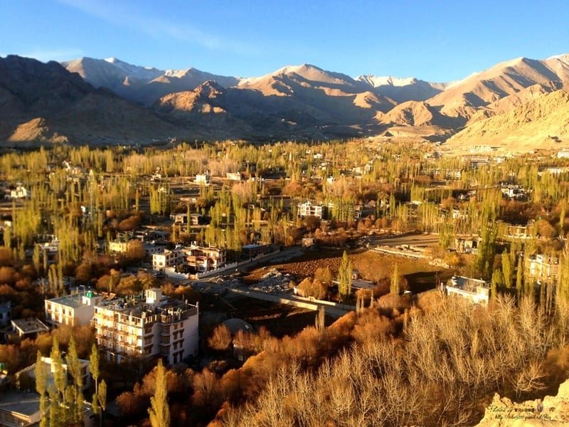 【印度-喀什米爾】Day9-3 拉達克Ladakh。列城，聽見海拔3500公尺的呼吸聲。