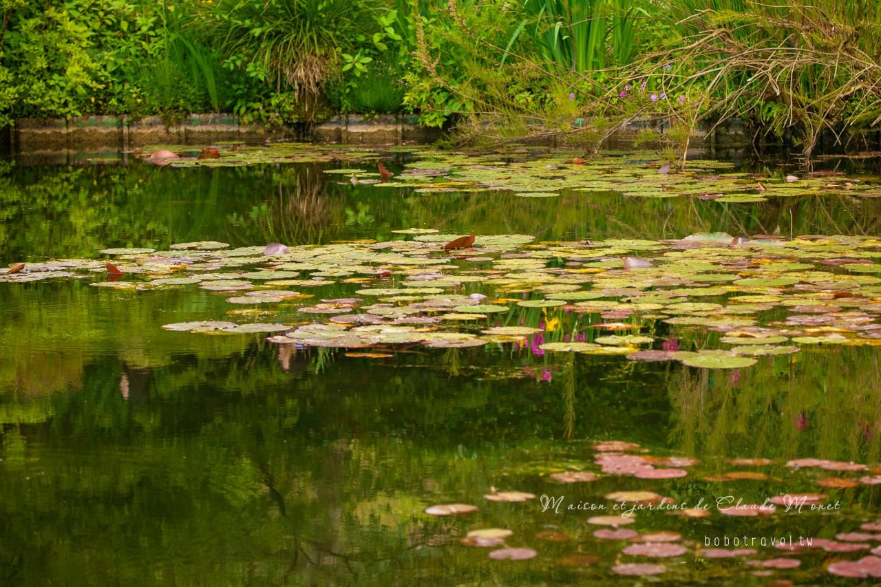 Maison et jardins de Claude Monet11