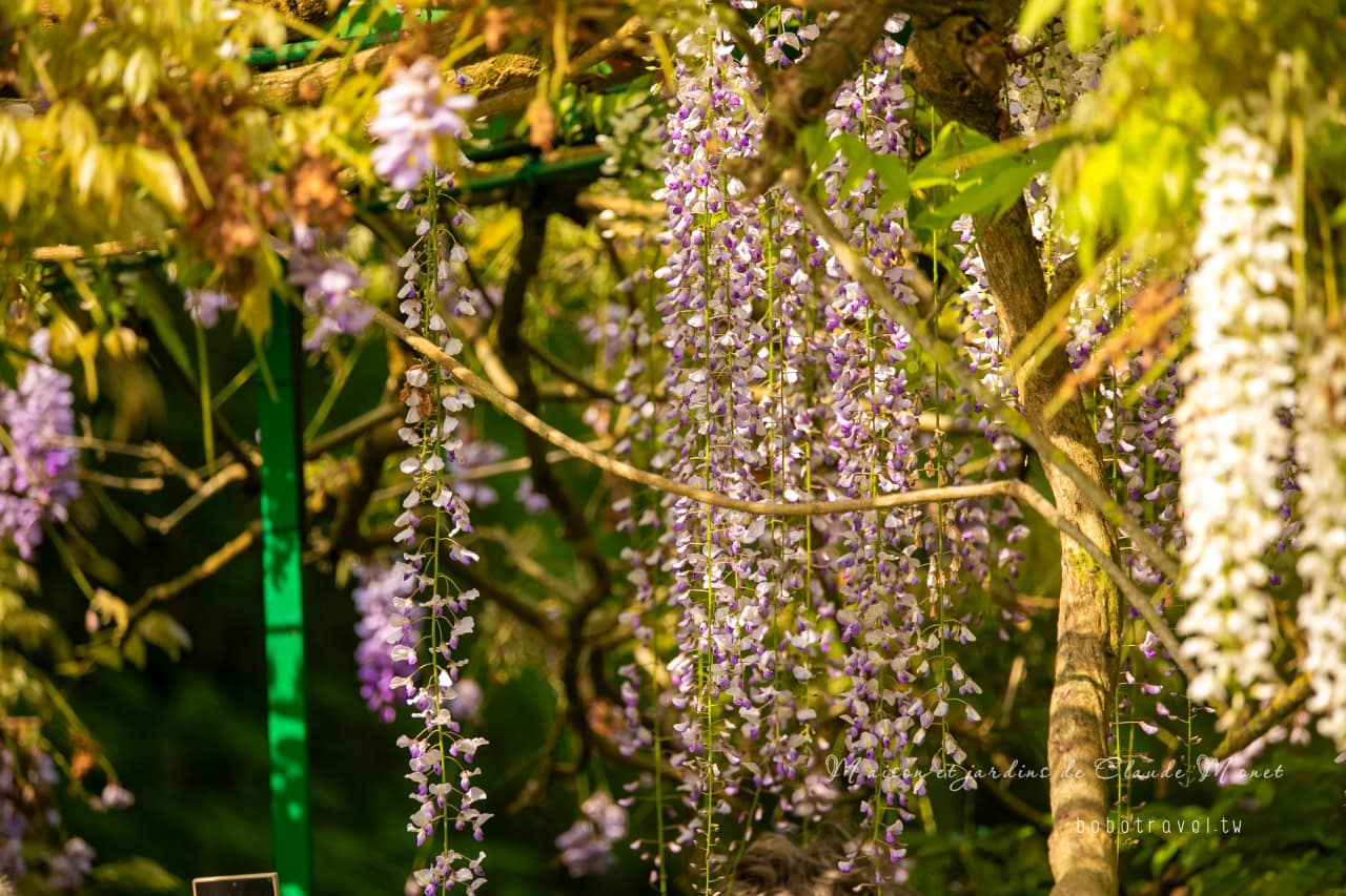 Maison et jardins de Claude Monet23