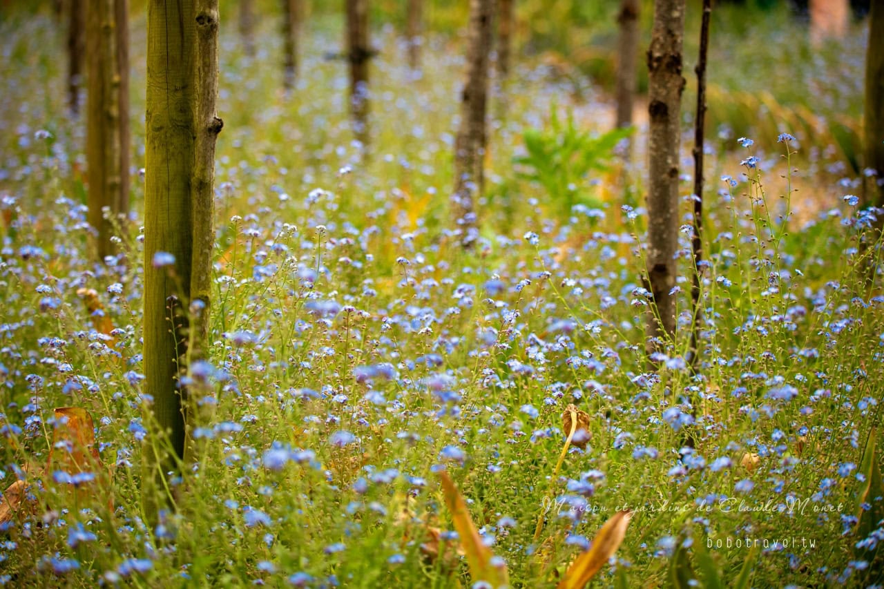 Maison et jardins de Claude Monet24