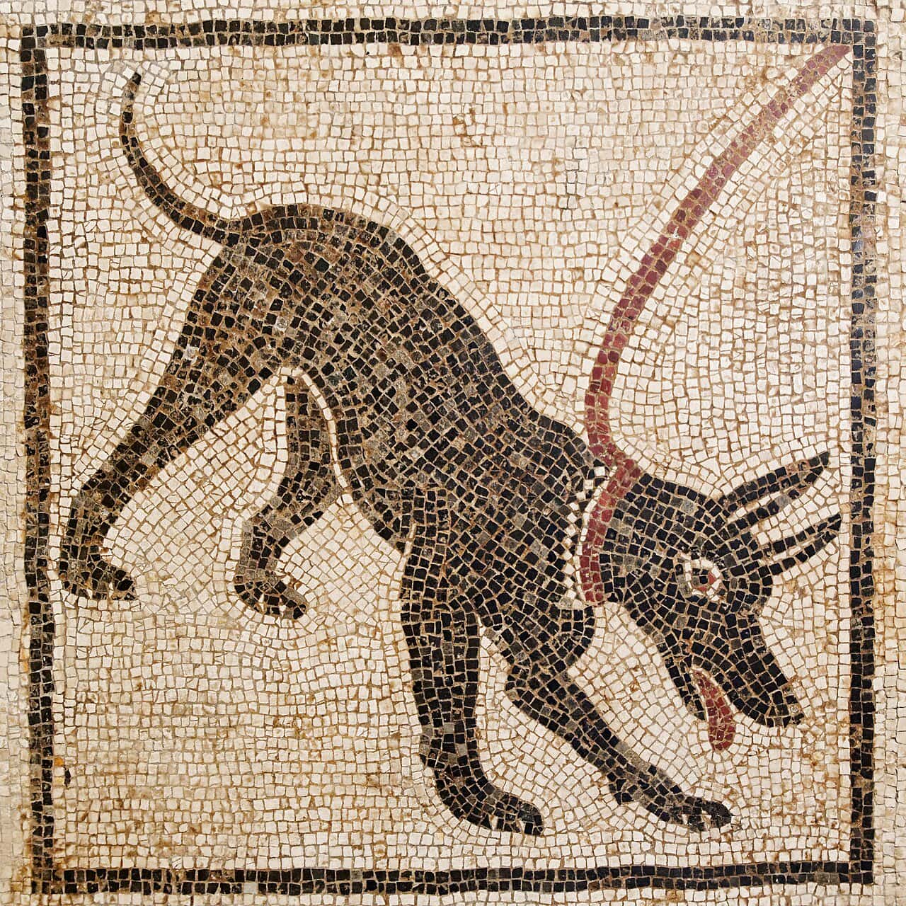 義大利Pompeii|17個龐貝城必看重點整理,一次搞懂龐貝景點精華 88 Cave canem MAN Napoli Inv110666