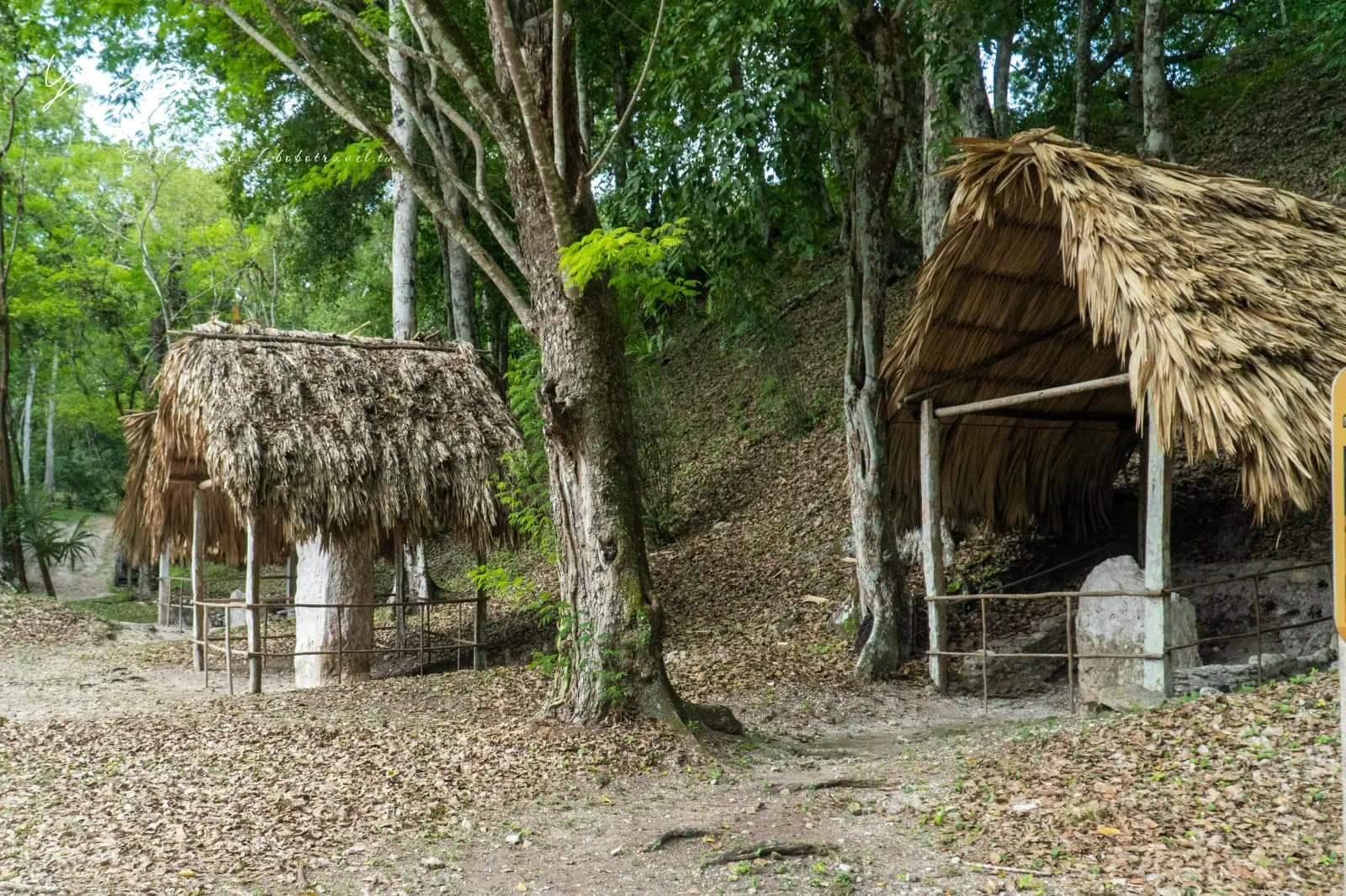 瓜地馬拉|亞克斯哈 Yaxhá 旅遊:Yaxhá 交通、景點、行程安排,在湖畔金字塔上看叢林日落 71 Yaxha 1
