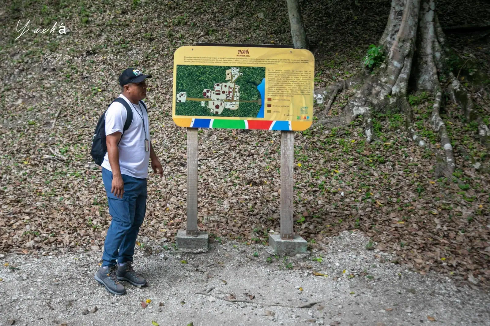 瓜地馬拉|亞克斯哈 Yaxhá 旅遊:Yaxhá 交通、景點、行程安排,在湖畔金字塔上看叢林日落 65 Yaxha 17
