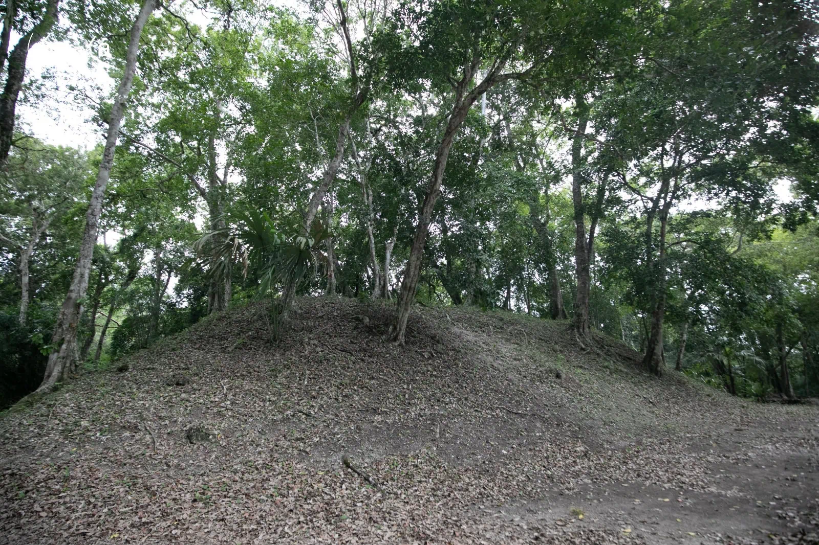 瓜地馬拉|亞克斯哈 Yaxhá 旅遊:Yaxhá 交通、景點、行程安排,在湖畔金字塔上看叢林日落 63 Yaxha 18