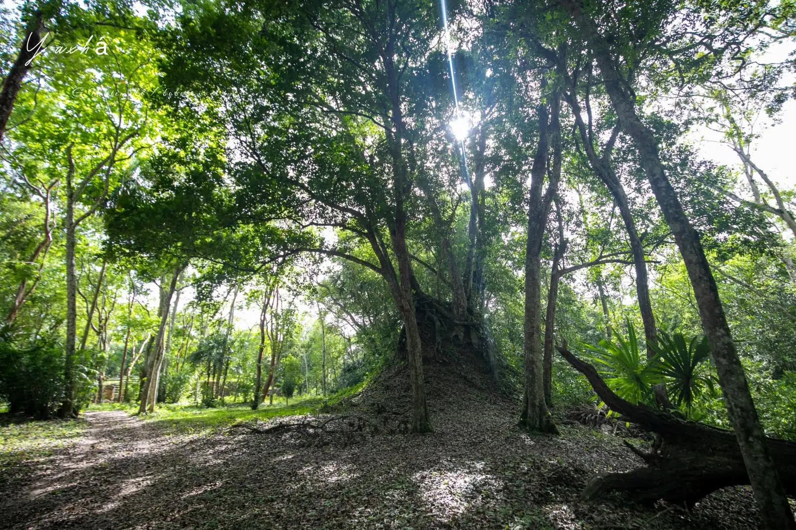 瓜地馬拉|亞克斯哈 Yaxhá 旅遊:Yaxhá 交通、景點、行程安排,在湖畔金字塔上看叢林日落 59 Yaxha 24
