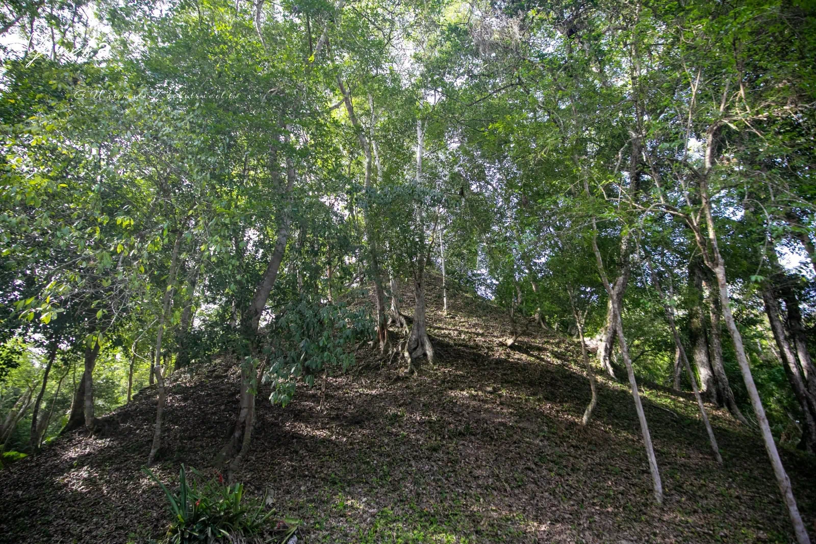 瓜地馬拉|亞克斯哈 Yaxhá 旅遊:Yaxhá 交通、景點、行程安排,在湖畔金字塔上看叢林日落 62 Yaxha 33