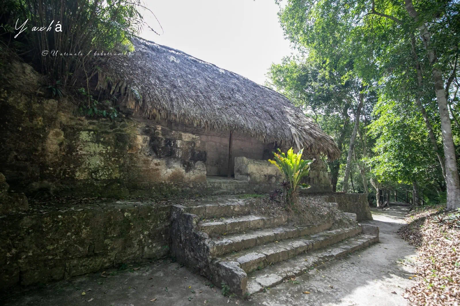 瓜地馬拉|亞克斯哈 Yaxhá 旅遊:Yaxhá 交通、景點、行程安排,在湖畔金字塔上看叢林日落 73 Yaxha 49