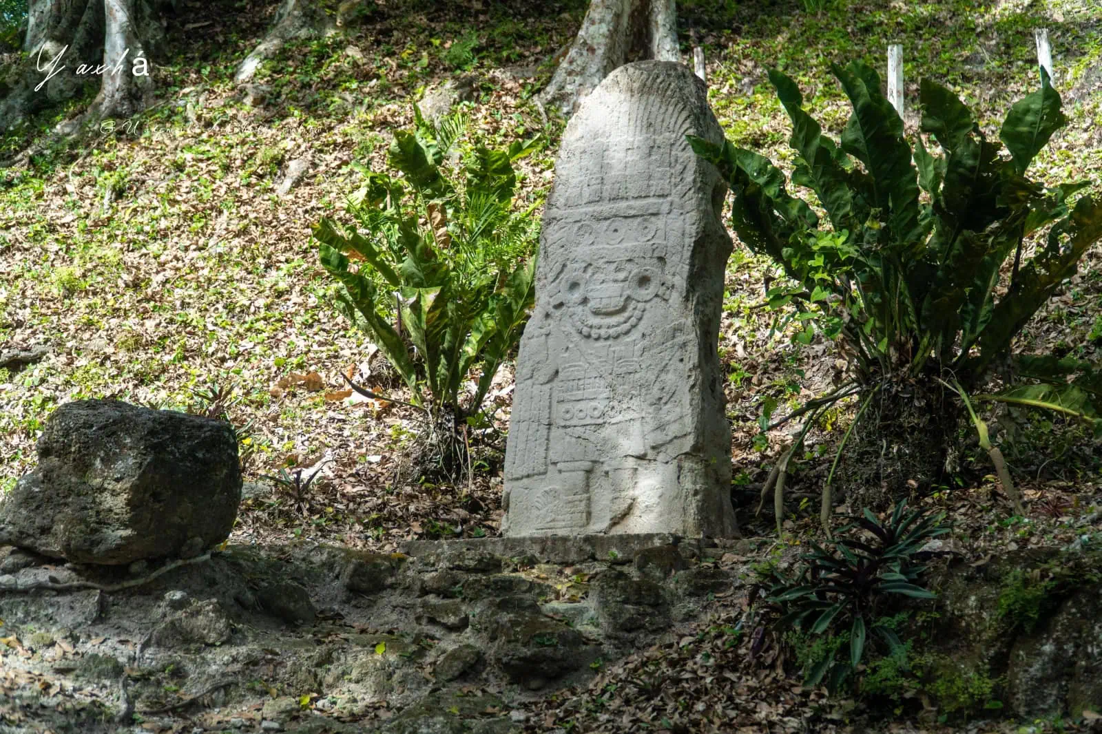 瓜地馬拉|亞克斯哈 Yaxhá 旅遊:Yaxhá 交通、景點、行程安排,在湖畔金字塔上看叢林日落 85 Yaxha 5