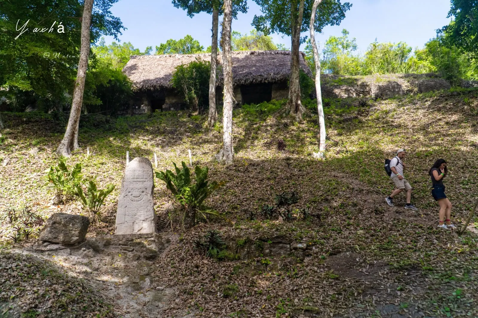 瓜地馬拉|亞克斯哈 Yaxhá 旅遊:Yaxhá 交通、景點、行程安排,在湖畔金字塔上看叢林日落 86 Yaxha 6