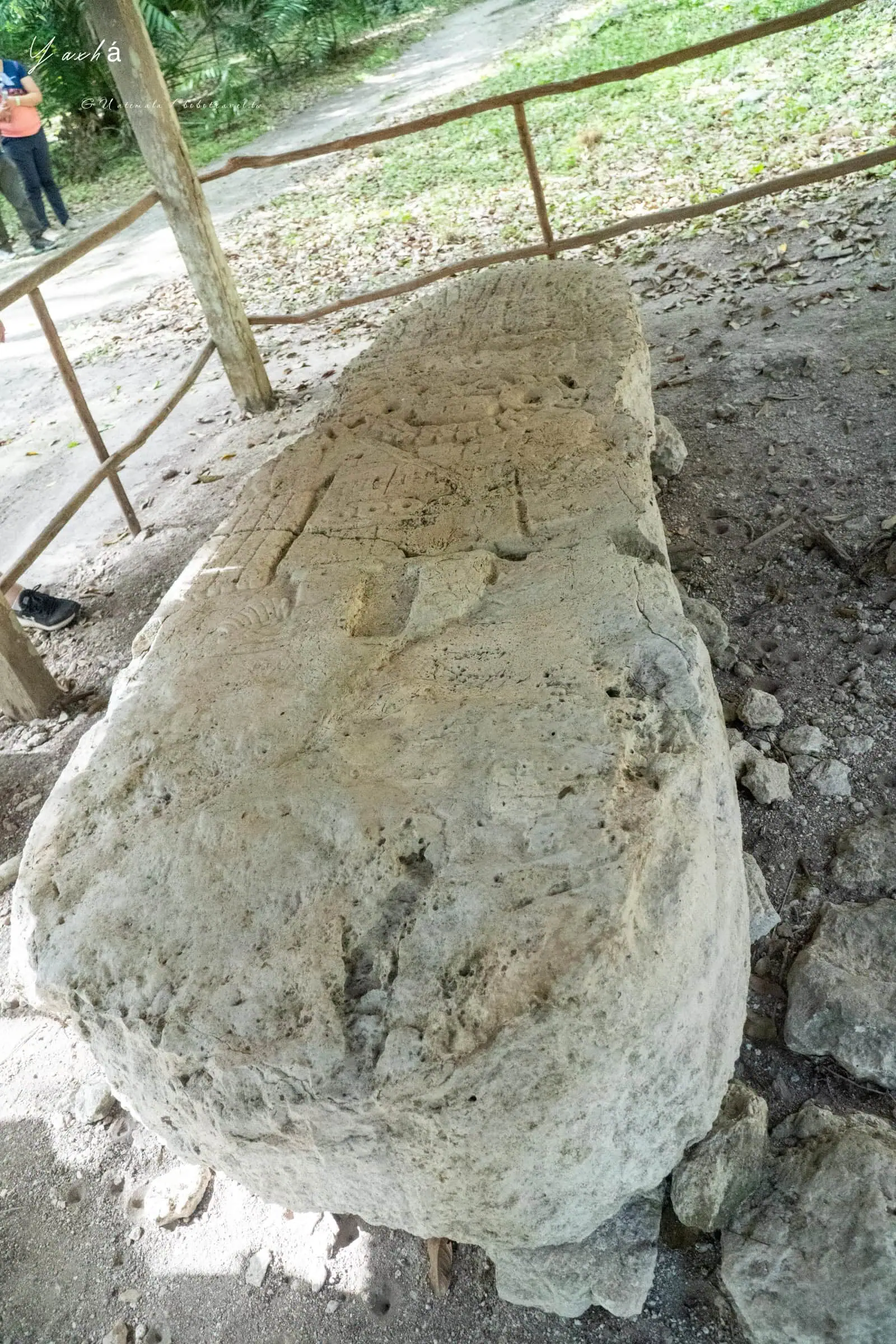 瓜地馬拉|亞克斯哈 Yaxhá 旅遊:Yaxhá 交通、景點、行程安排,在湖畔金字塔上看叢林日落 61 Yaxha 7