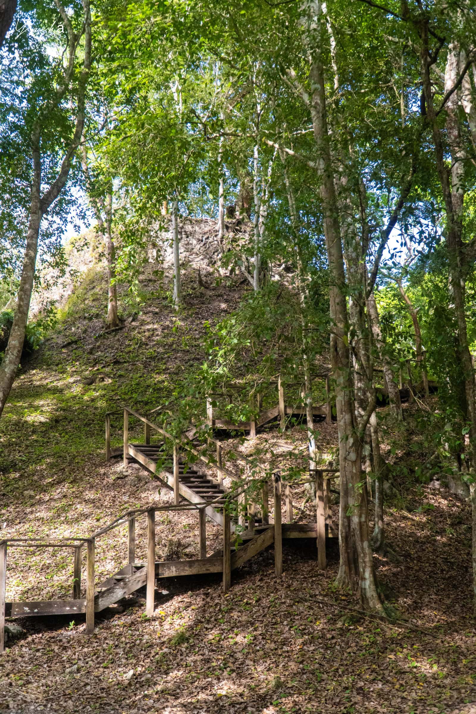 瓜地馬拉|亞克斯哈 Yaxhá 旅遊:Yaxhá 交通、景點、行程安排,在湖畔金字塔上看叢林日落 97 Yaxha 8