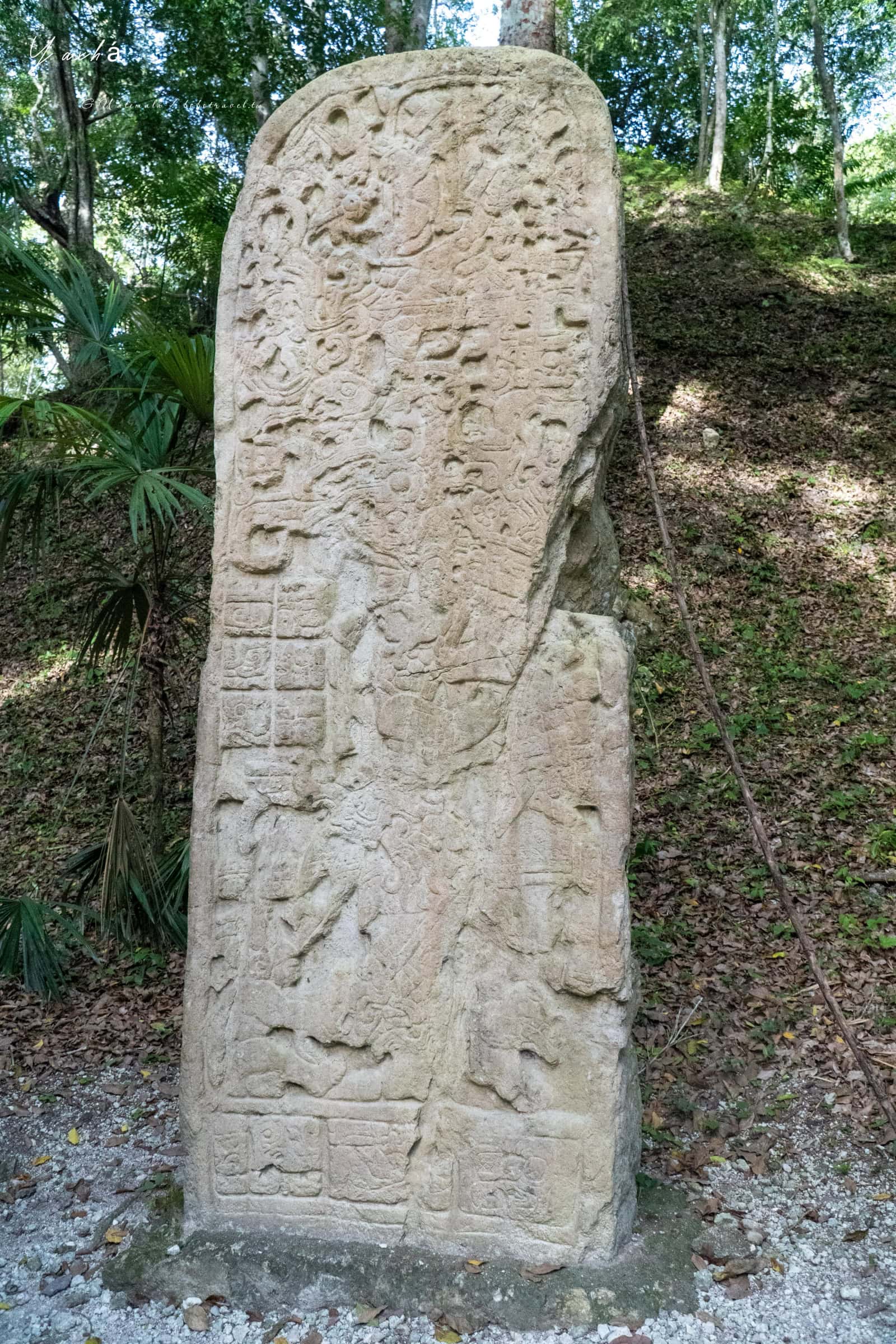 瓜地馬拉|亞克斯哈 Yaxhá 旅遊:Yaxhá 交通、景點、行程安排,在湖畔金字塔上看叢林日落 56 Yaxha 9
