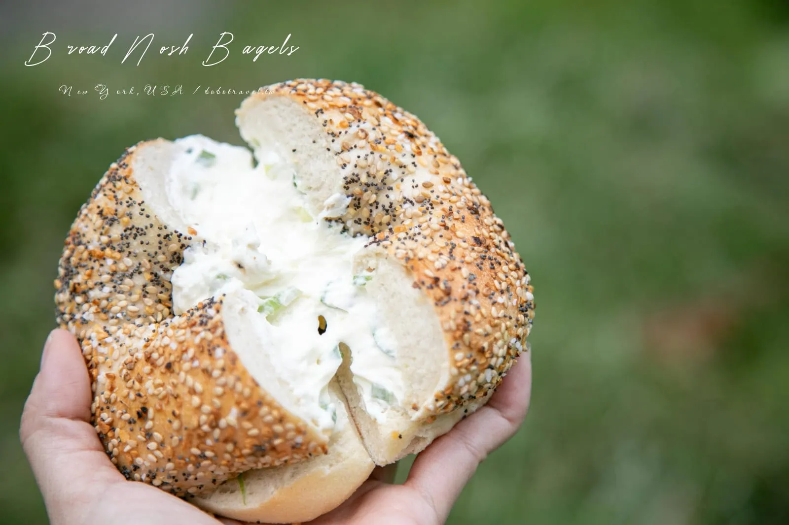 紐約貝果推薦:Broad Nosh Bagels,中央公園旁 20 種奶油乳酪任你挑的手作貝果,菜單價格、必點口味、外帶小技巧 29 Broad Nosh Bagels9